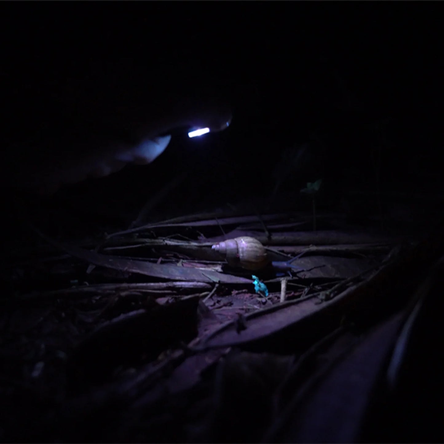RovyVon Angel Eyes E90 Flat EDC Flashlight 7000K, Gunmetal