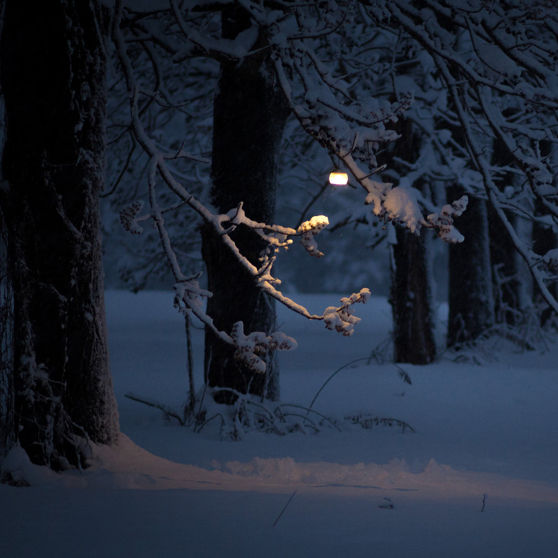 Snow Peak Hozuki Lantern, Bark