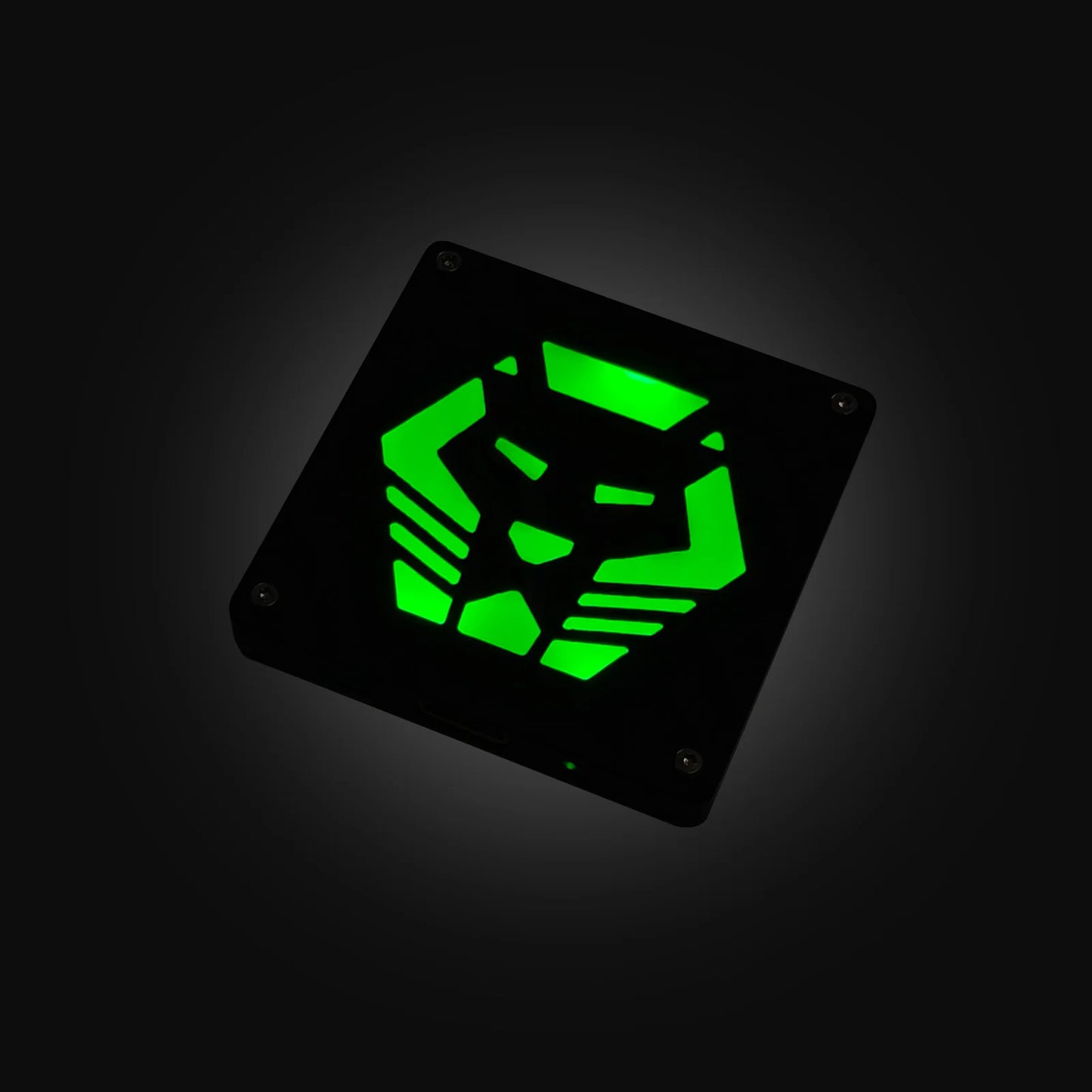RovyVon Glowing Velcro Logo Patch, 1212PC