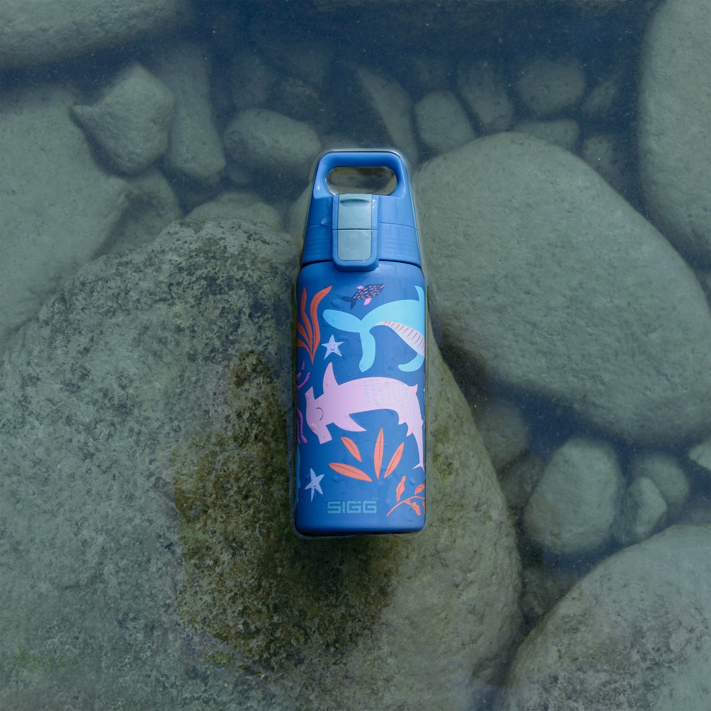 SIGG Kids Water Bottle Shield Therm ONE 0.5L, Blue World