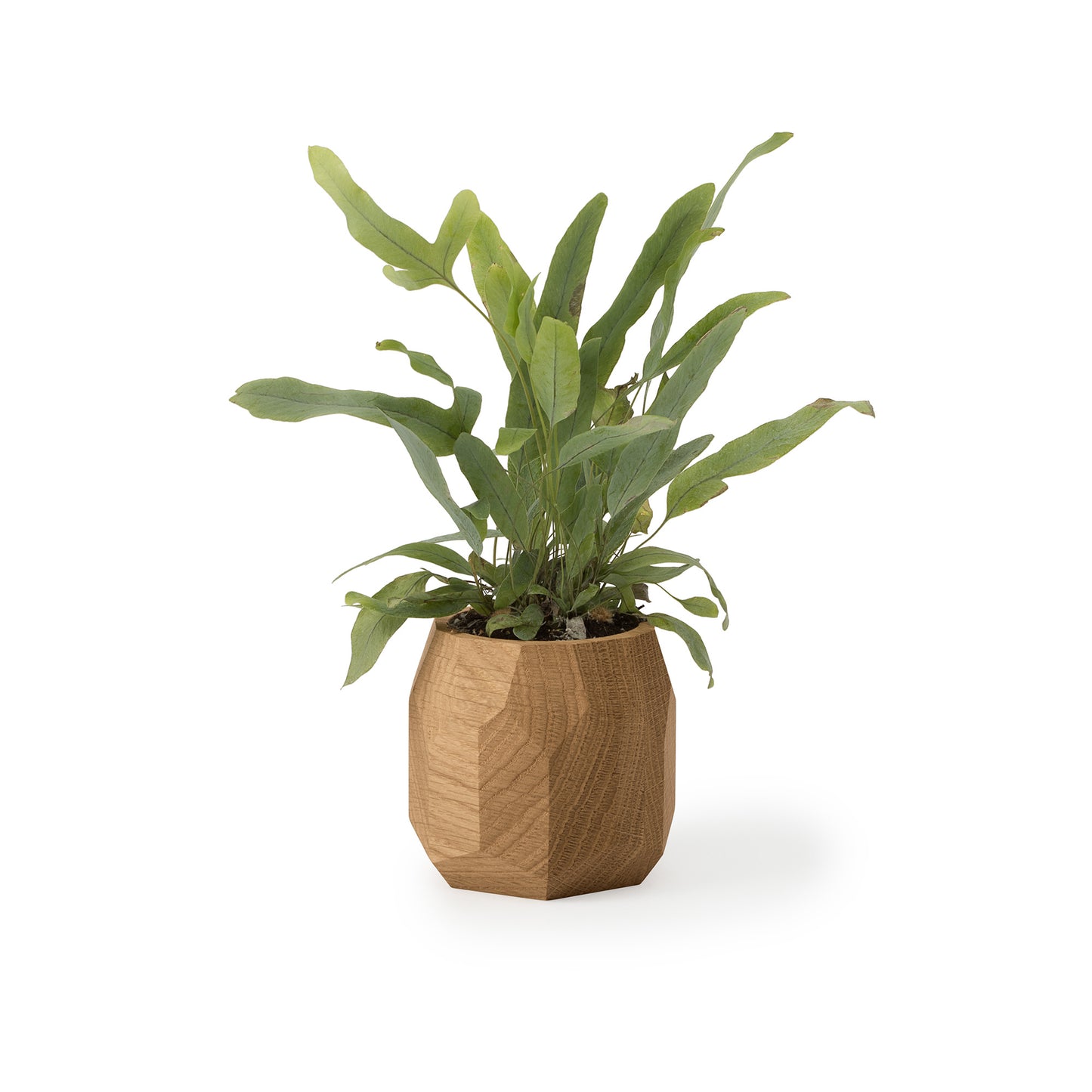 Oakywood Geometric Pen Pot, Oak