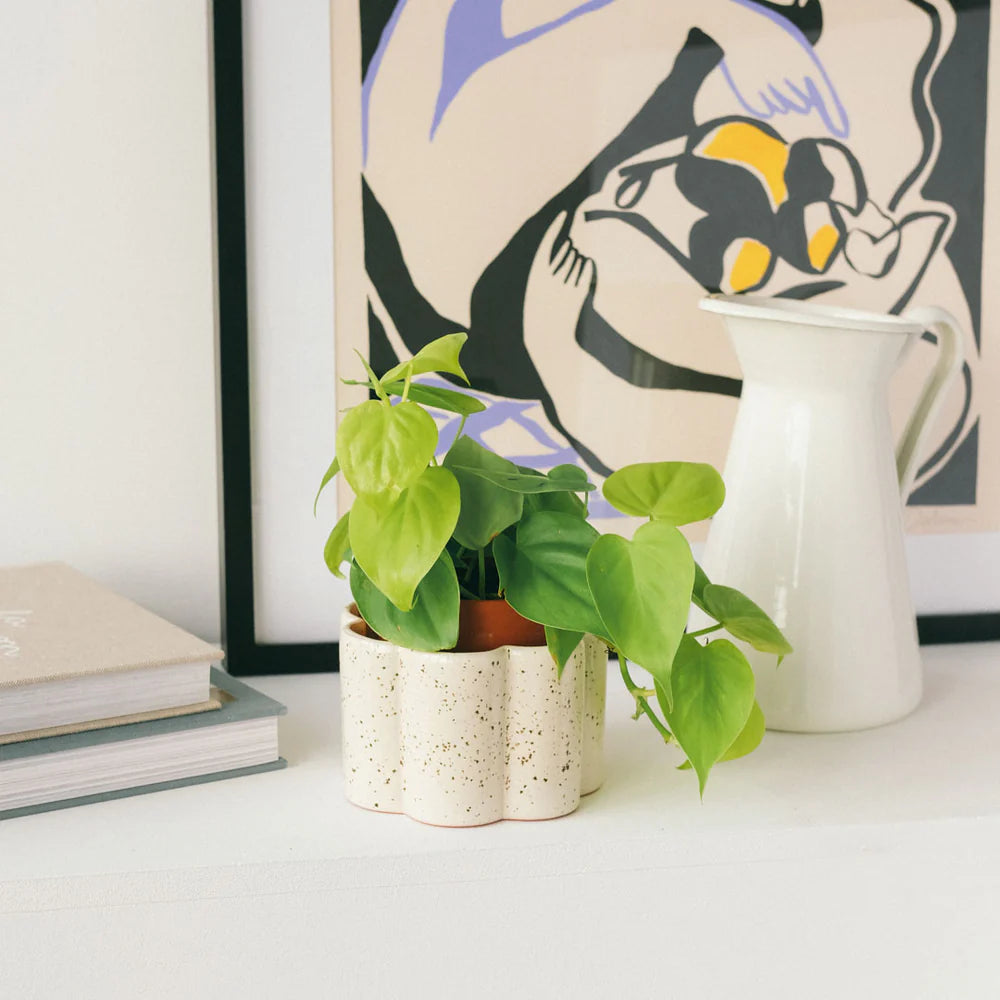 Pepin Paulita Self-Watering Pot, Textured White