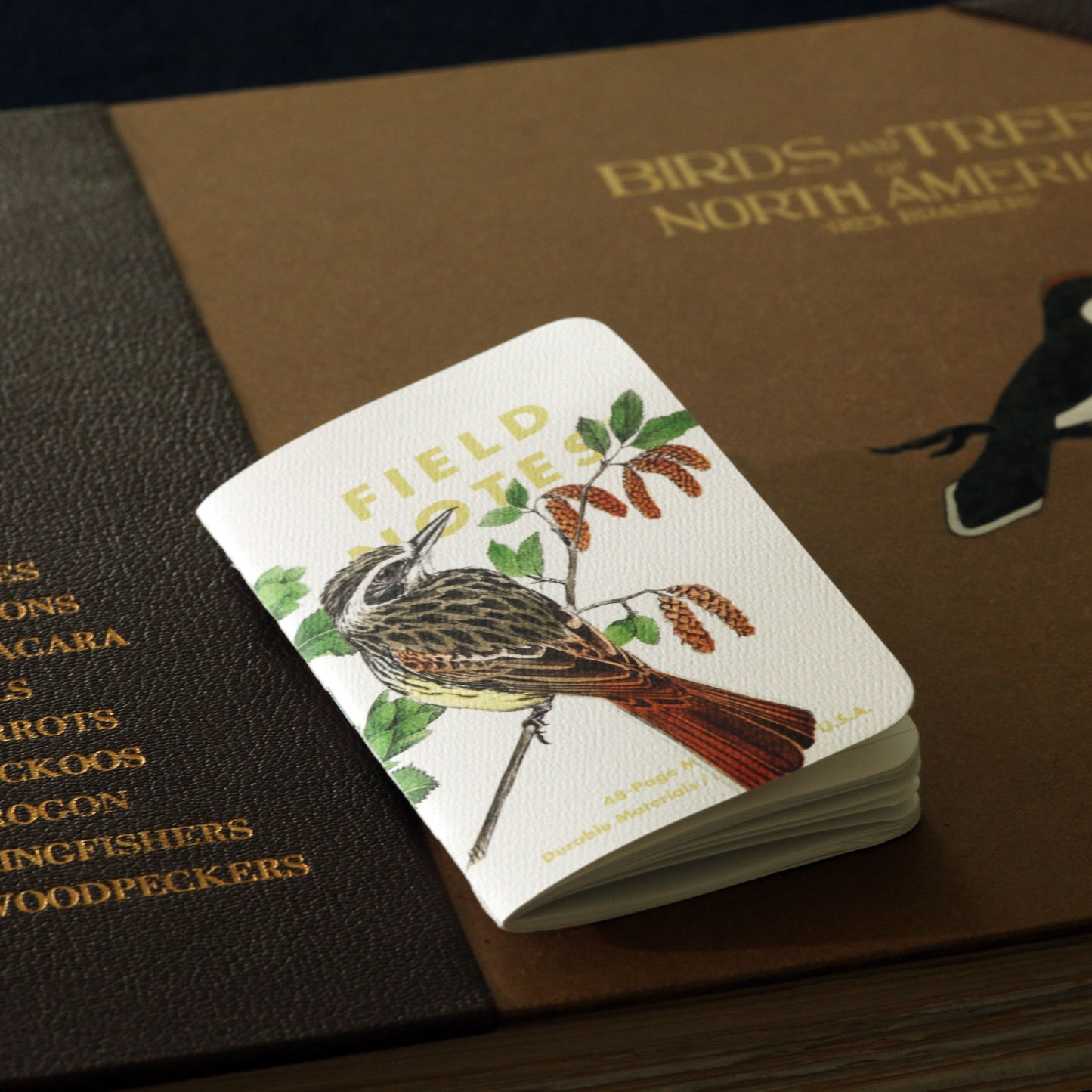 Field Notes Birds and trees of North America, Pack B