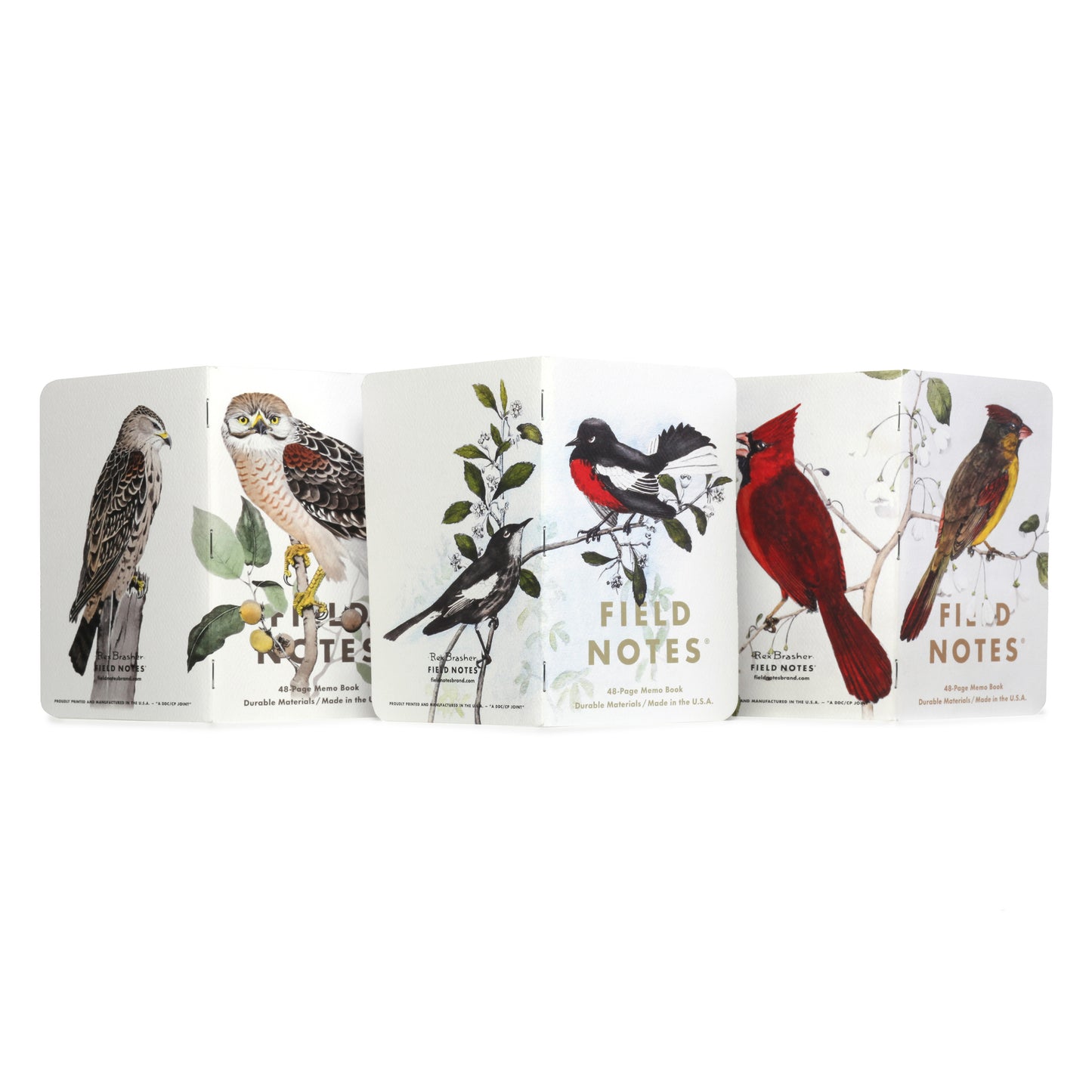 Field Notes Birds and trees of North America, Pack C