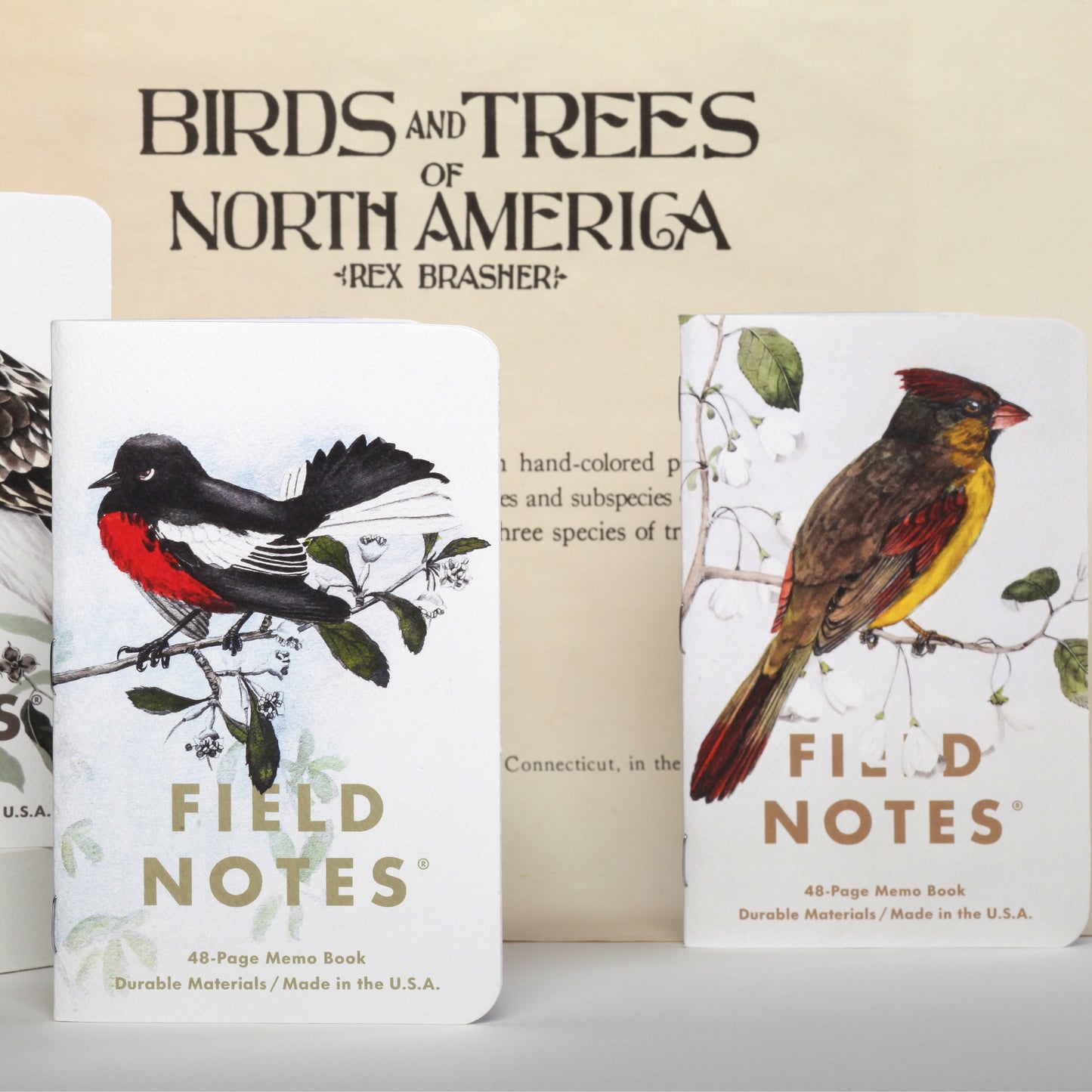 Field Notes Birds and trees of North America, Pack C