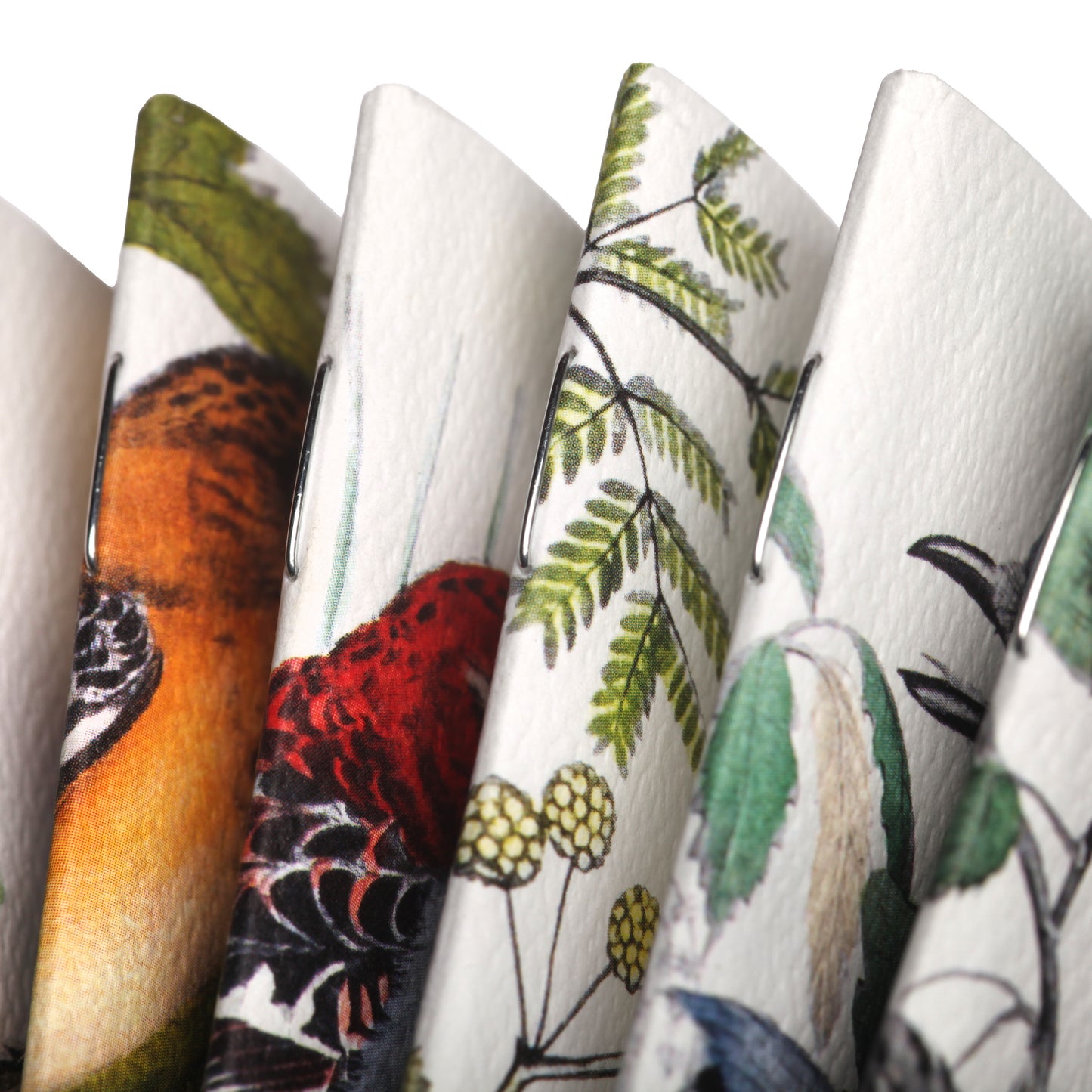 Field Notes Birds and trees of North America, Pack A