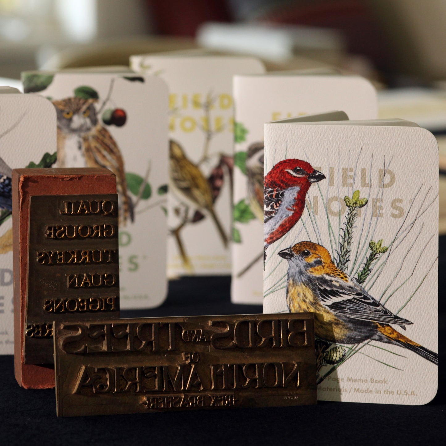 Field Notes Birds and trees of North America, Pack B