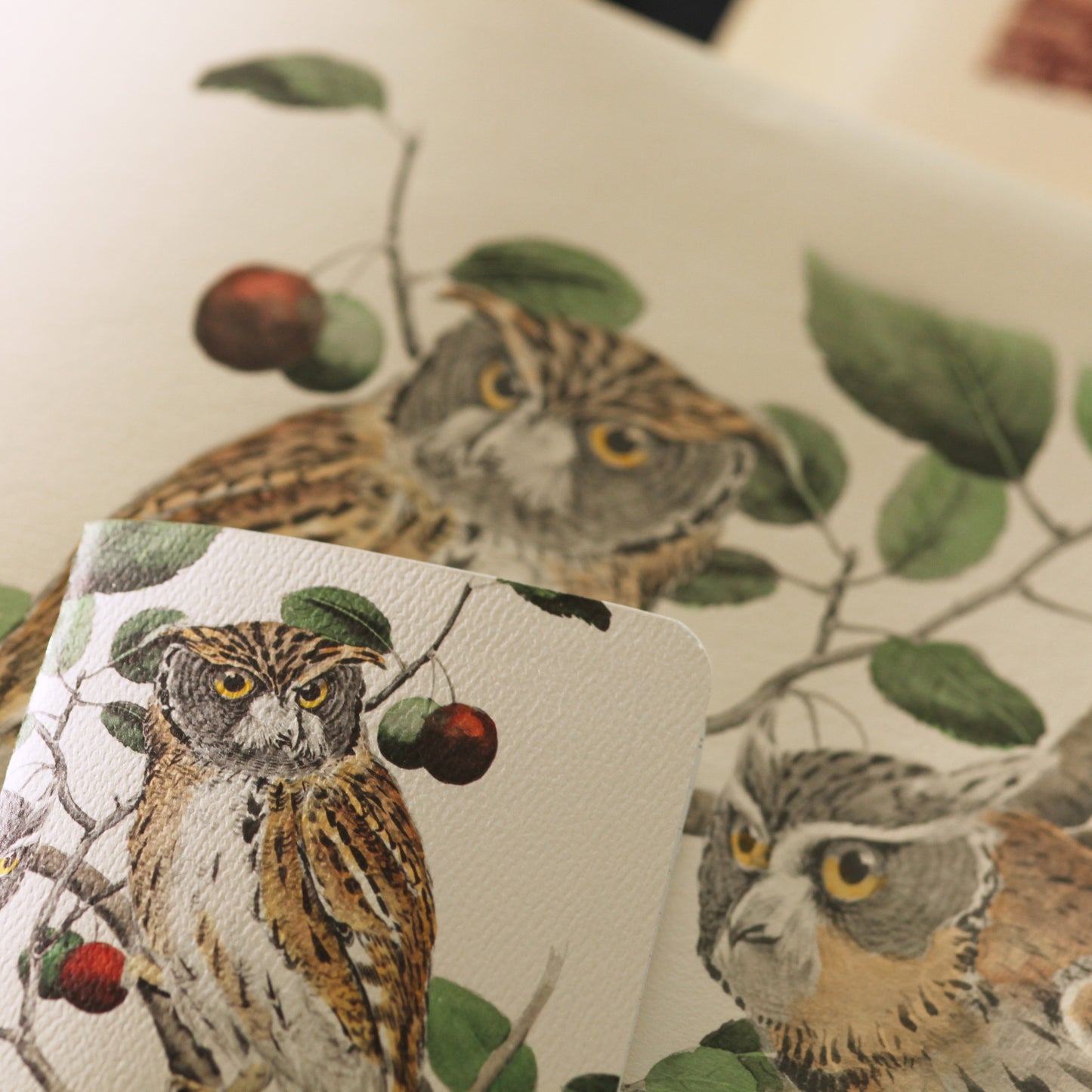 Field Notes Birds and trees of North America, Pack A