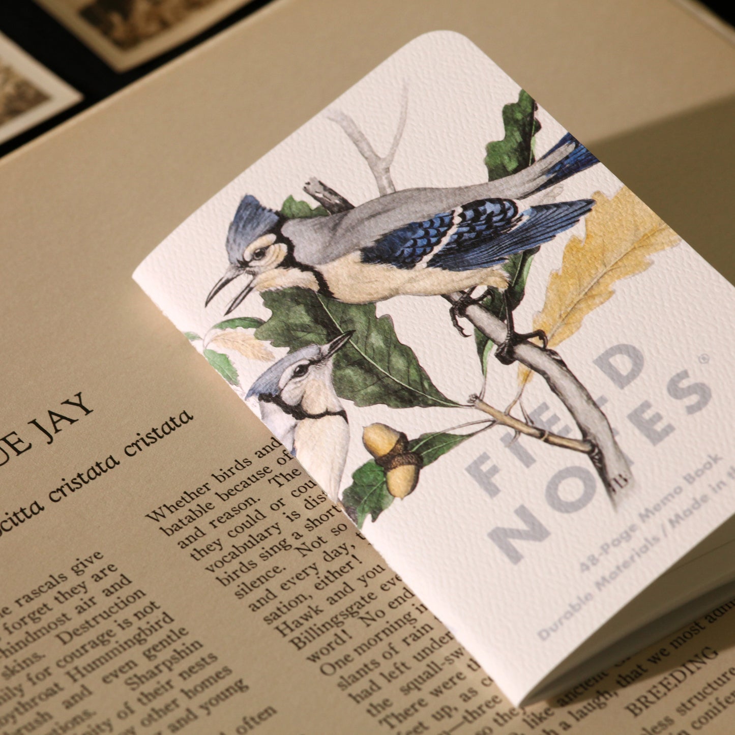 Field Notes Birds and trees of North America, Pack A