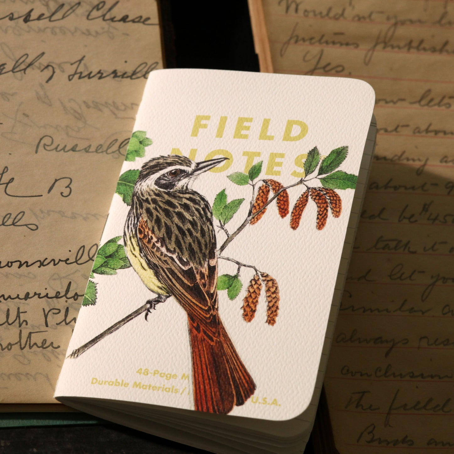 Field Notes Birds and trees of North America, Pack B