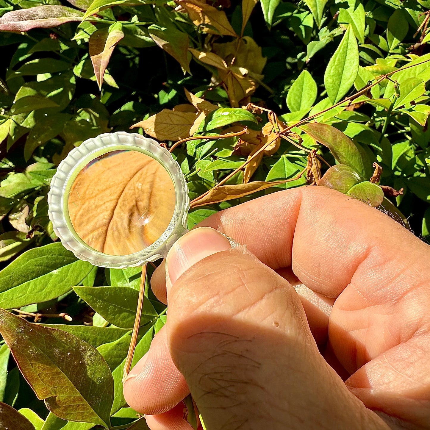 CountyComm Polycarbonate Titan Zoom - Sapphire Pocket Magnifier by Maratac®