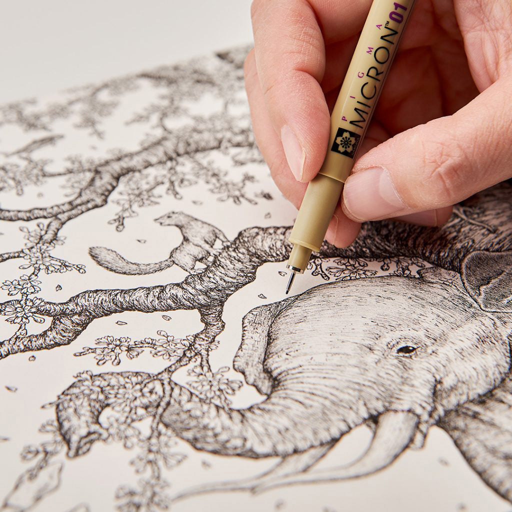 Sakura Pigma Micron Black, 10-sett