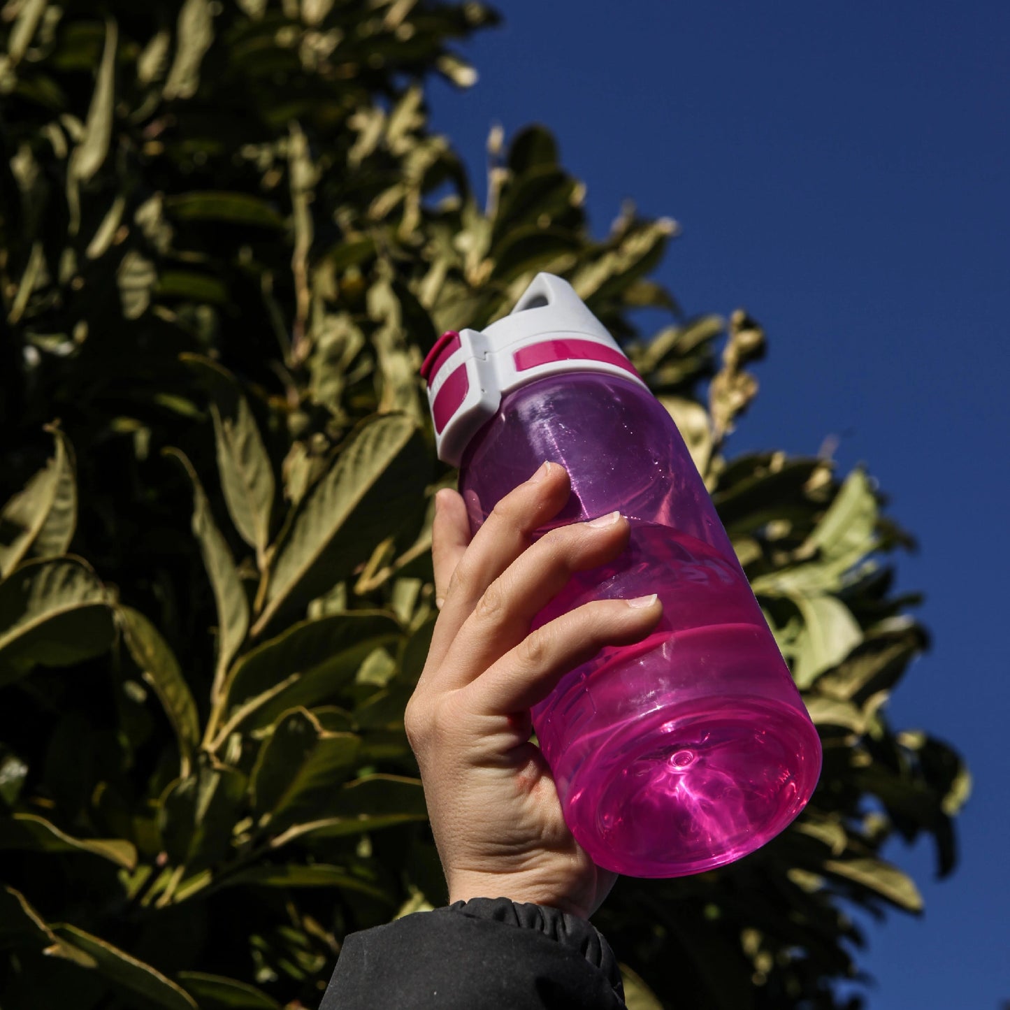 SIGG Kids VIVA ONE 0.5L, Berry