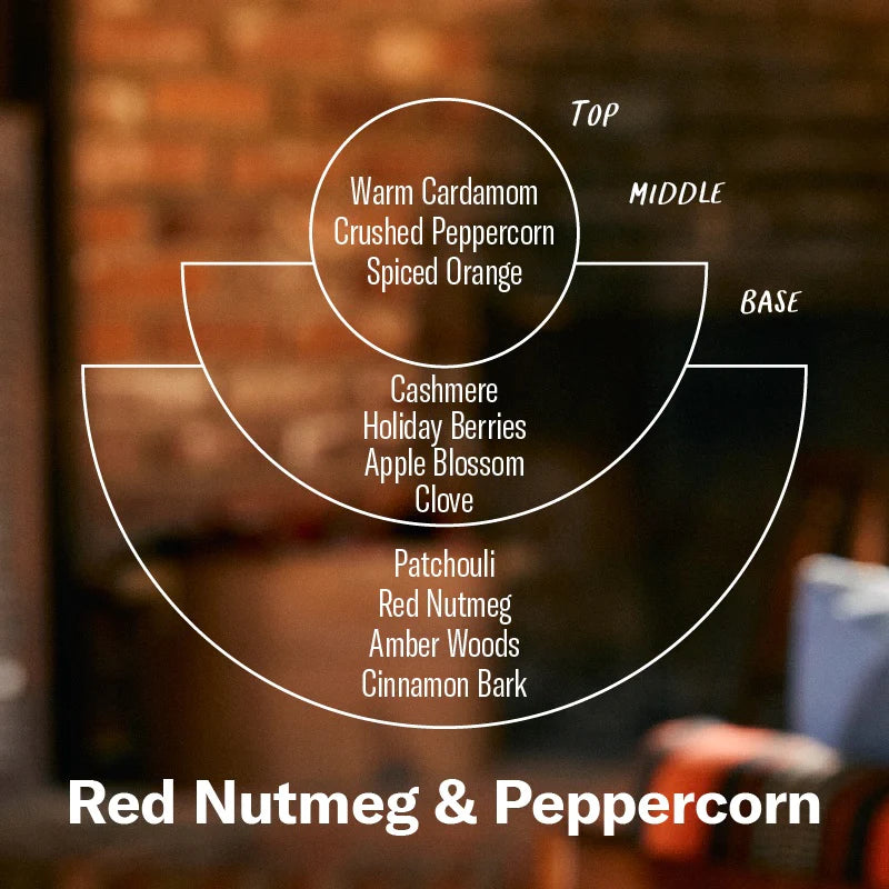 P.F. Candle Co. Duftlys, Red Nutmeg & Peppercorn (limited edition)