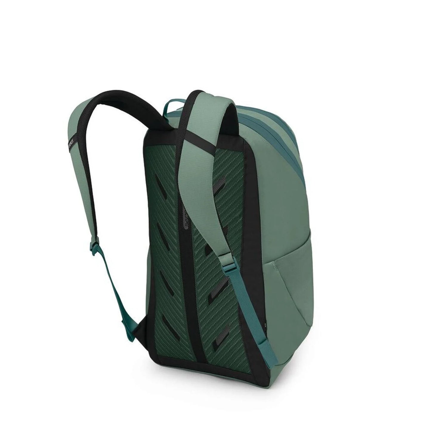 Osprey Astronova, Pine Leaf Green