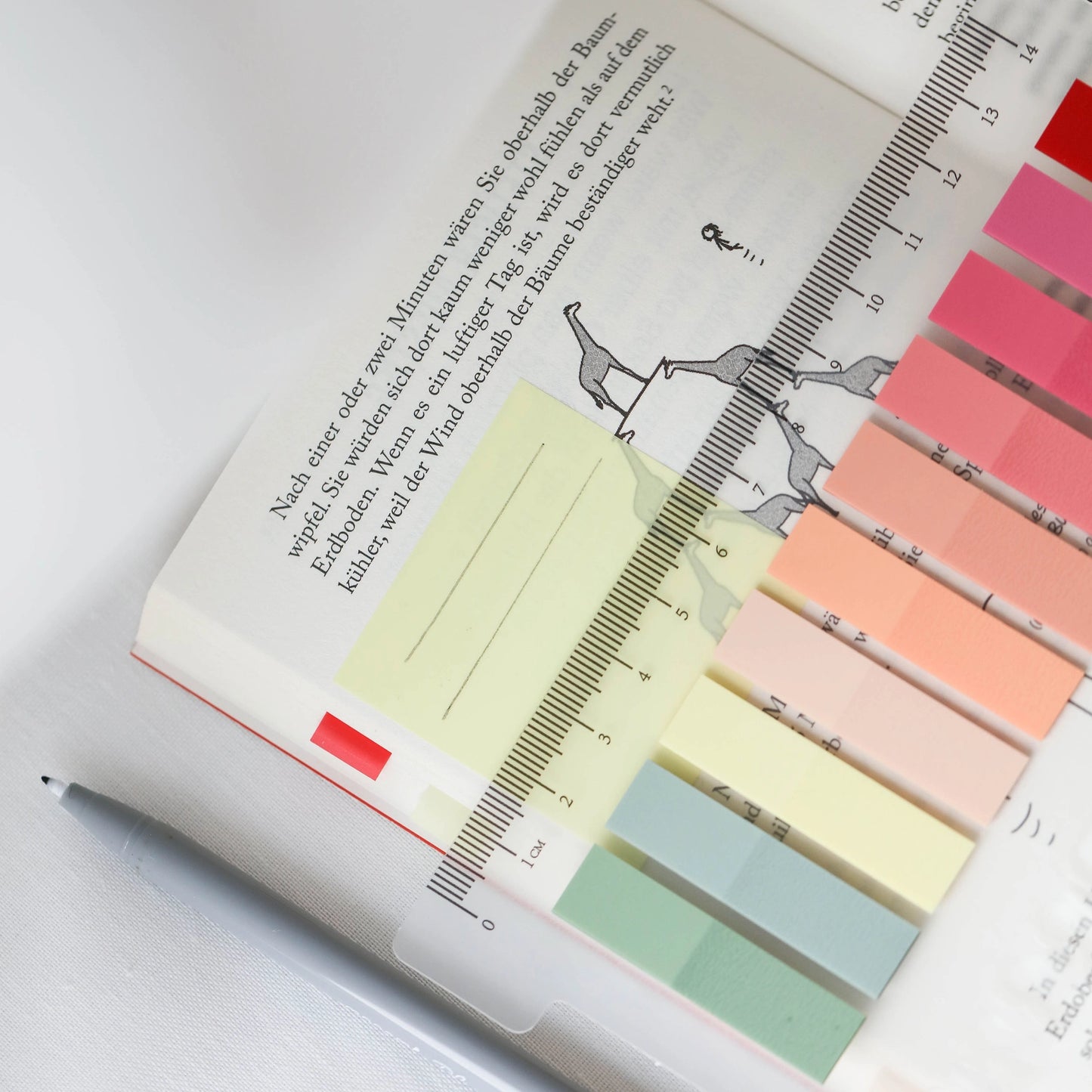 Ordinate Sticky Notes Full Color Tabs