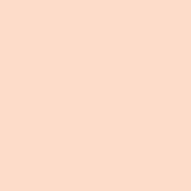 Mt masking tape Mt Basic Pastel 15mm Washi Tape, Carrot