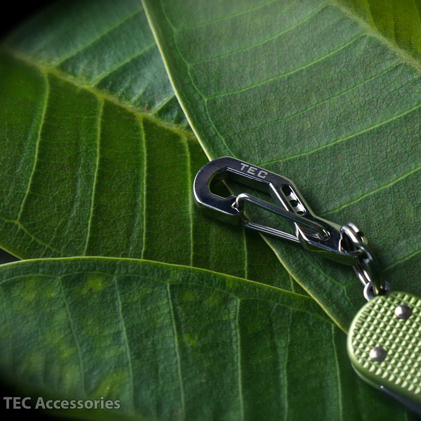 TEC-Accessoires Python Clip, Stainless Steel