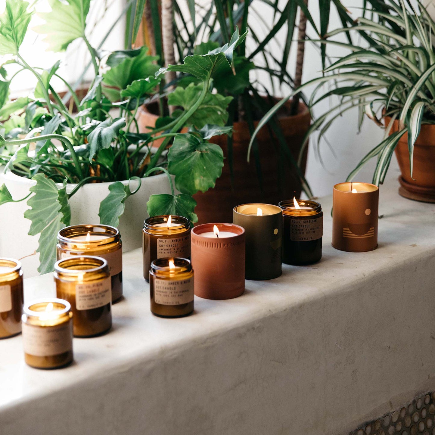 P.F. Candle Co. Duftlys, NO. 21 Golden Coast