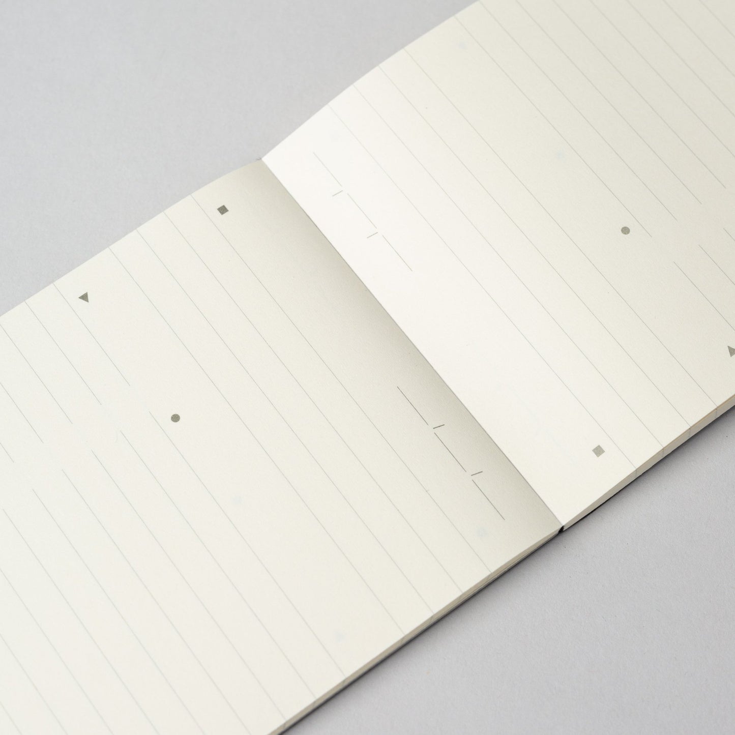 Moleskine Pro Pad (Softcover)-Goodnotes.no