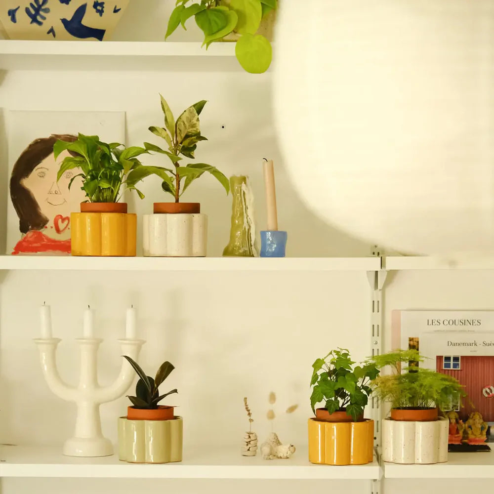Pepin Paulita Self-Watering Pot, Textured White