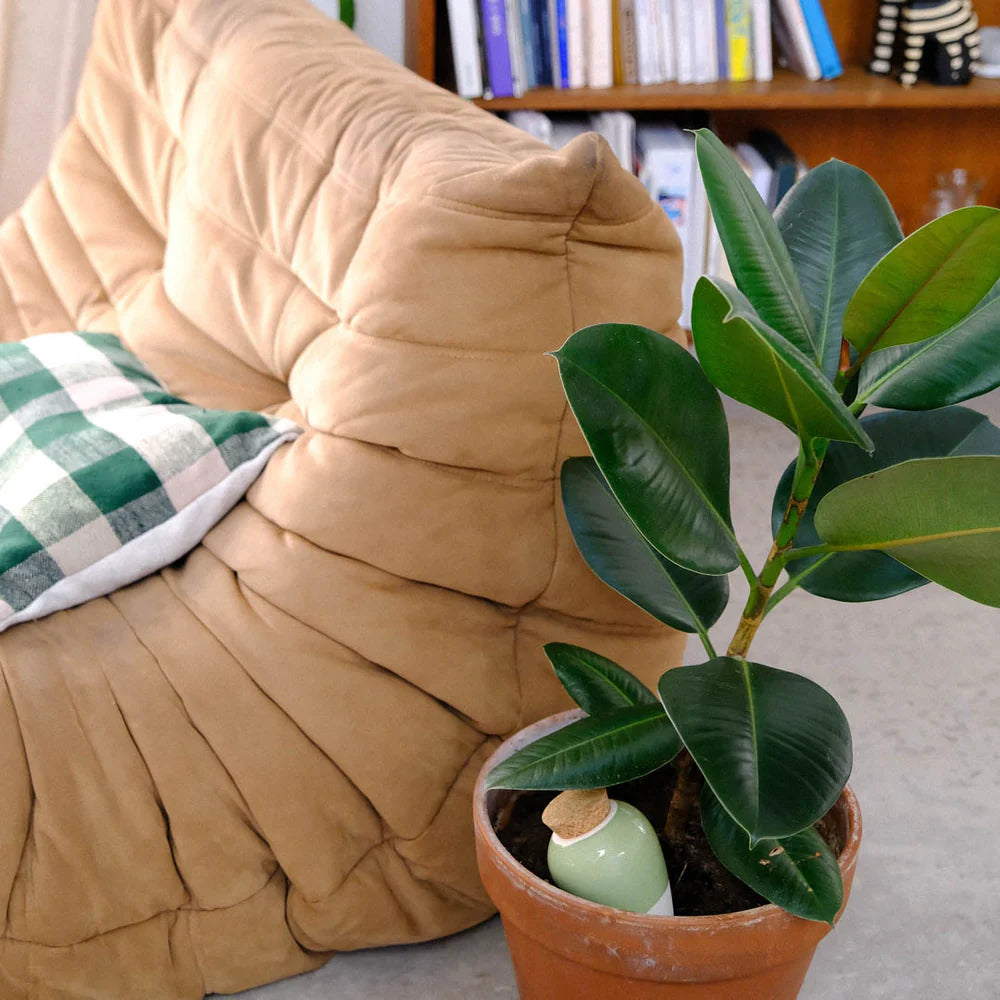 Pepin Olla, Green