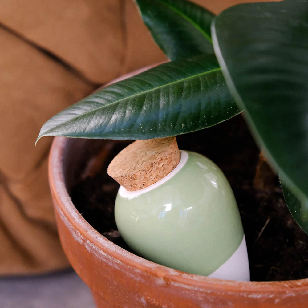 Pepin Olla, Green