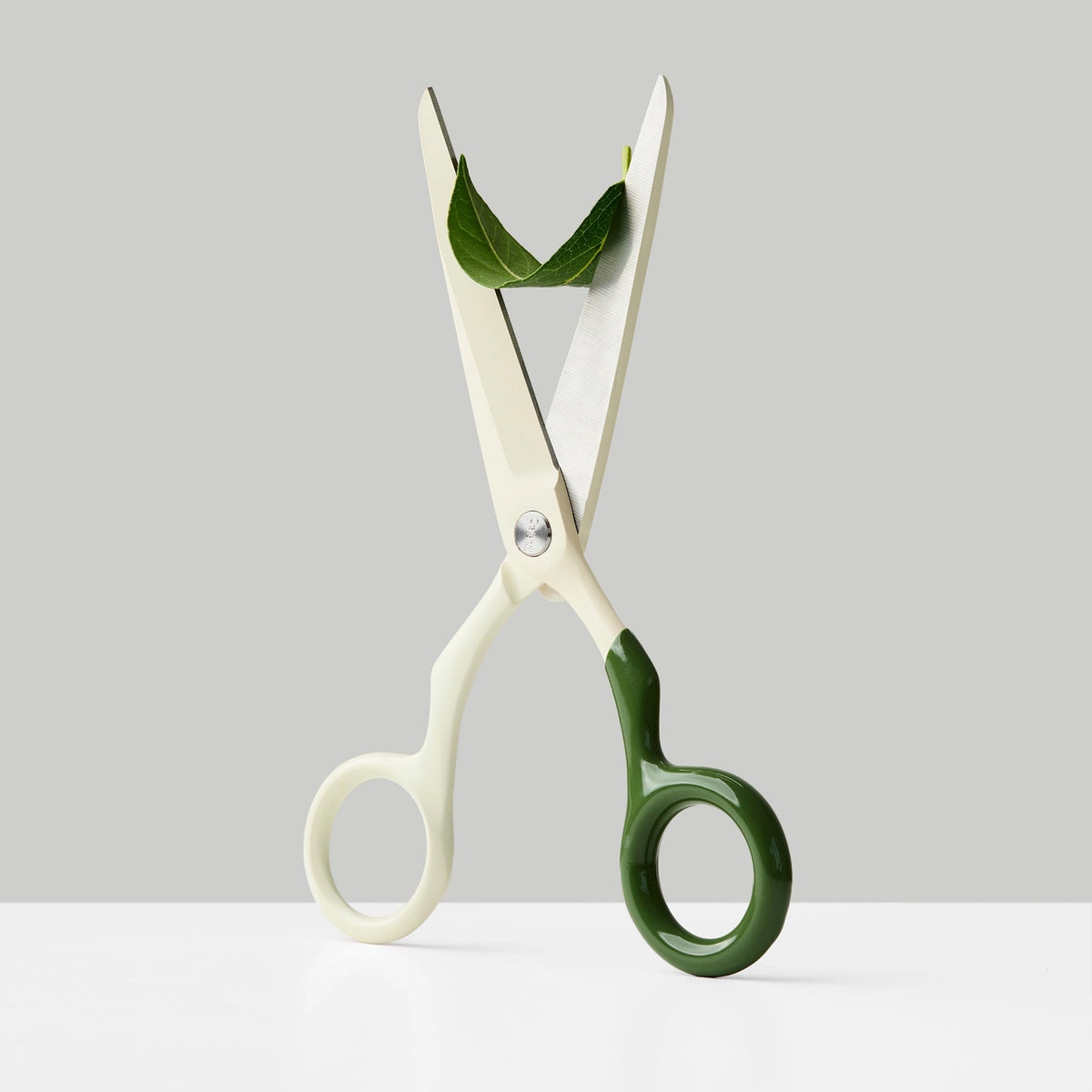Craighill Spectra Scissors, Cream + Forest Green