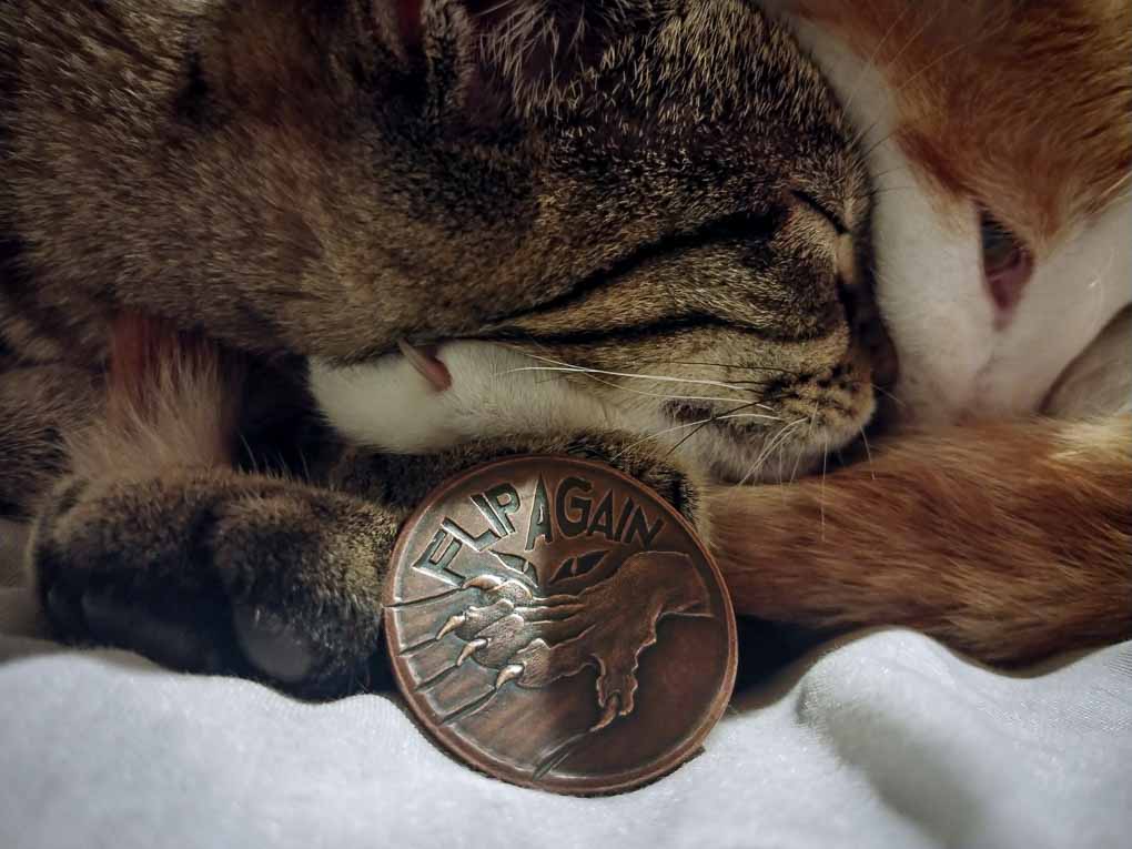 Shire Post Mint Pet the Cat / Flip Again Copper Decision Maker Coin