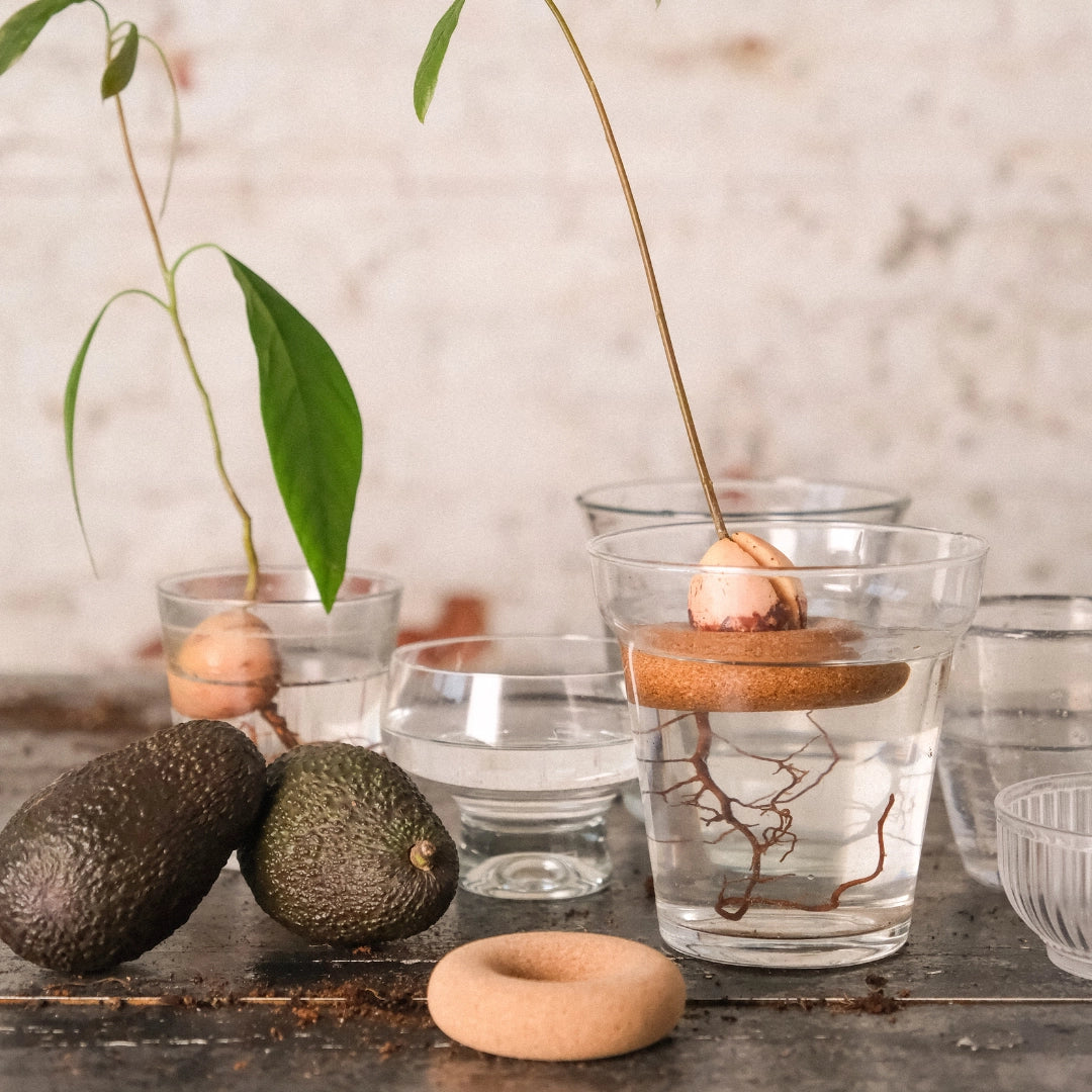 Pepin Avocado Float, Gigi
