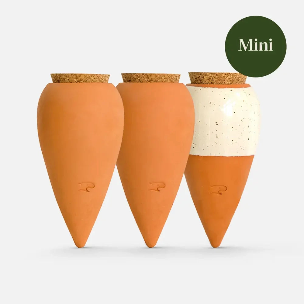 Pepin Box Trio Mini Ollas, The Iconics