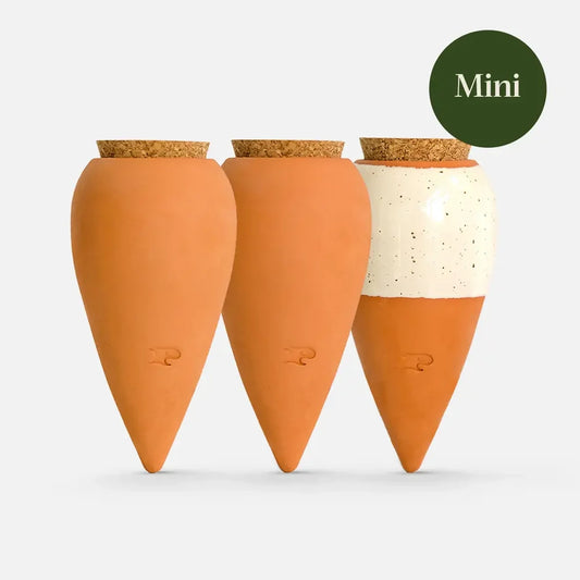 Pepin Box Trio Mini Ollas, The Iconics