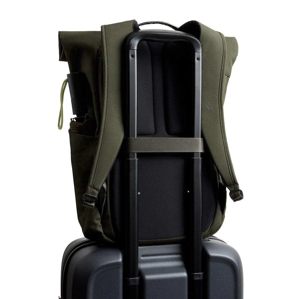 Bellroy Classic Rolltop, Olive