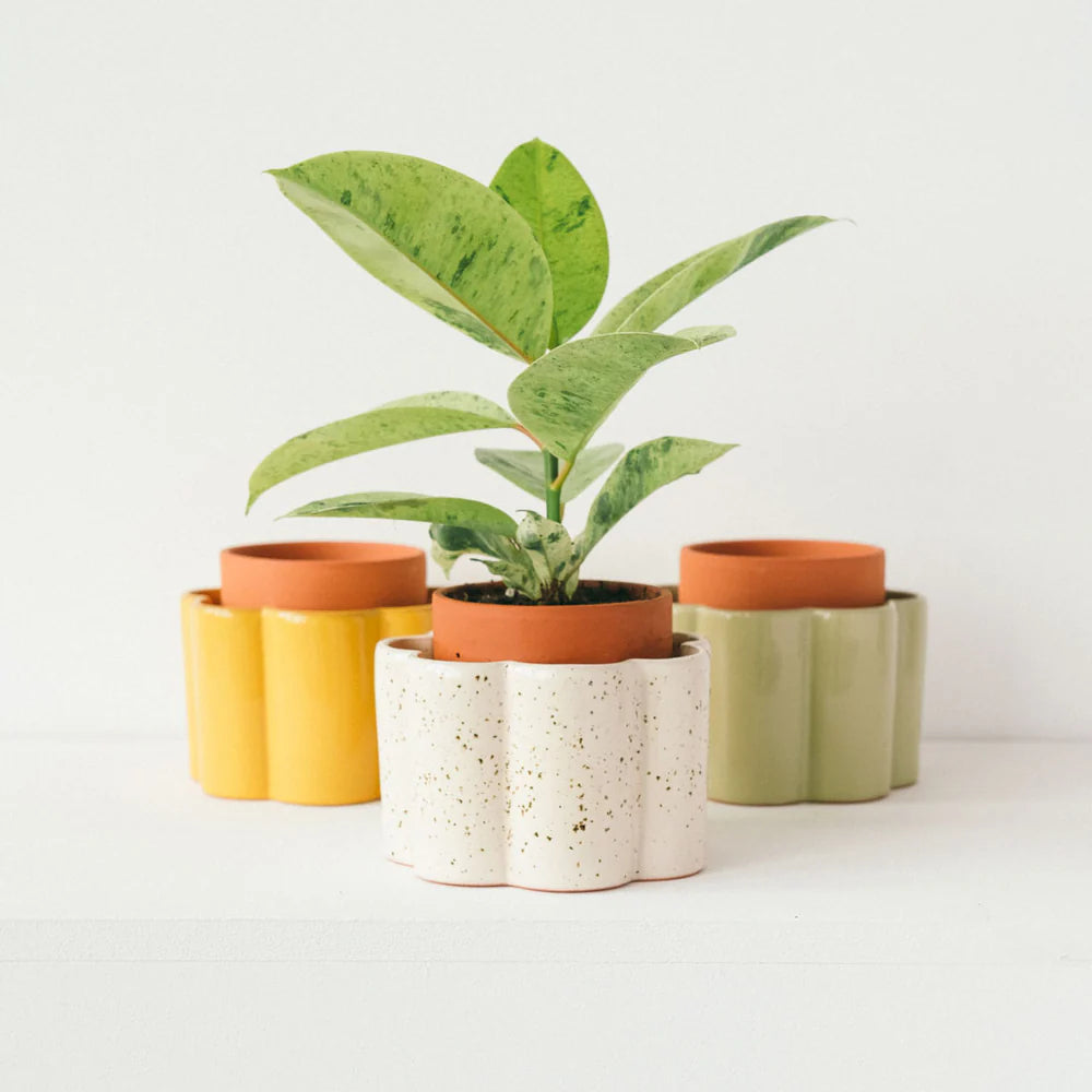 Pepin Paulita Self-Watering Pot, Textured White