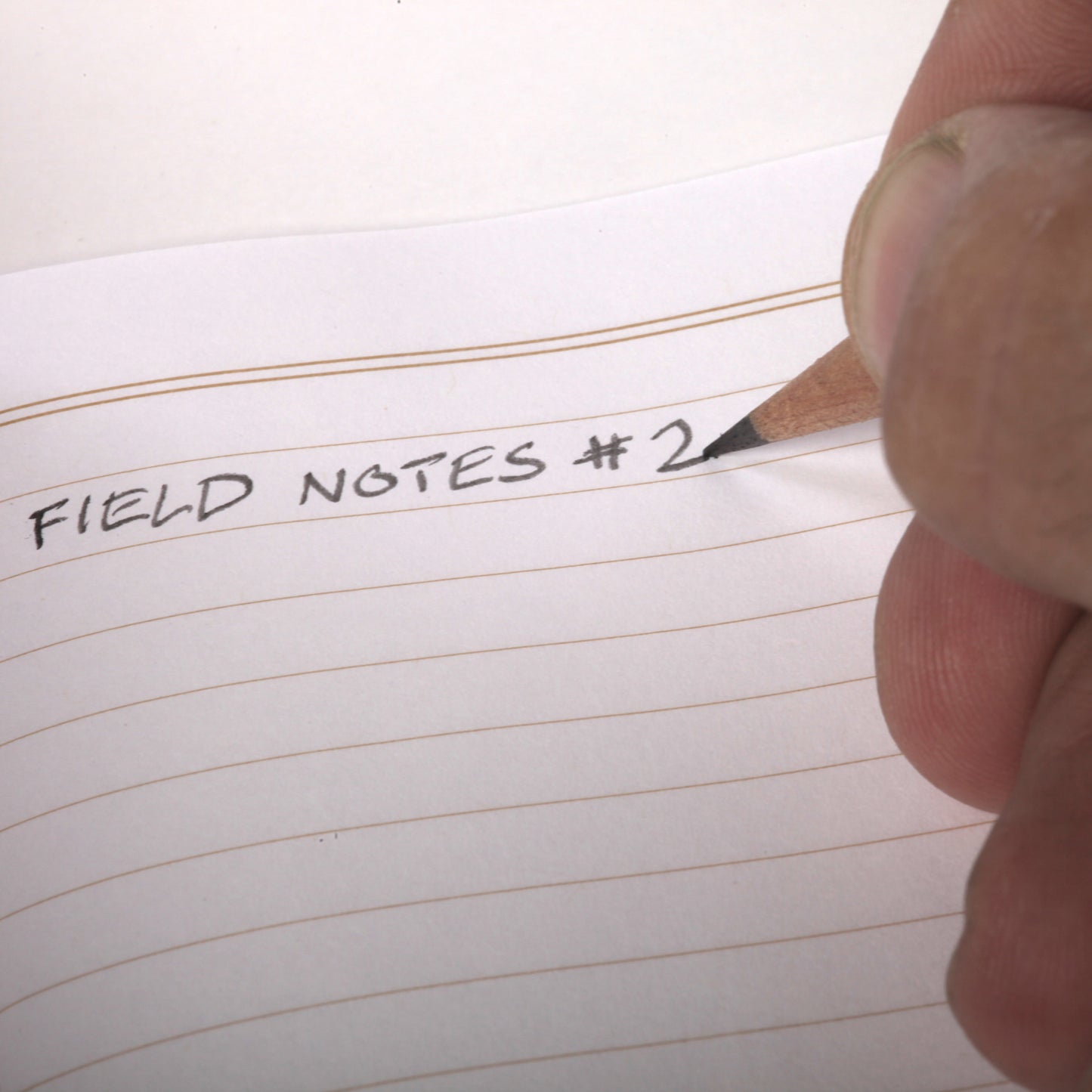 Field Notes Woodgrain Pencil, 6-Pack