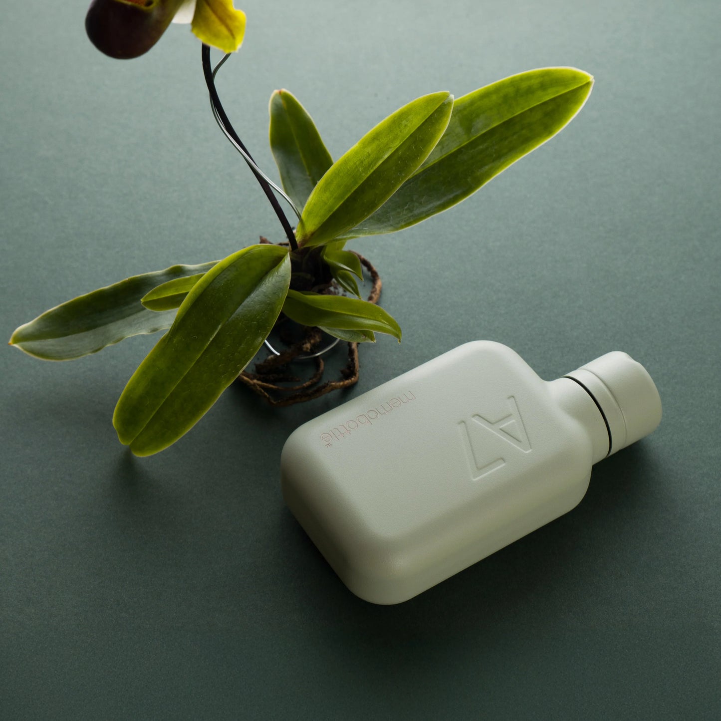 Memobottle™ A7 Stainless Steel 250ml, Pistachio