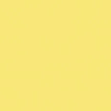 Mt masking tape Mt Basic 15mm Washi Tape, Tamago