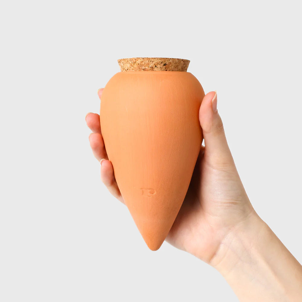 Pepin Olla, Terracotta