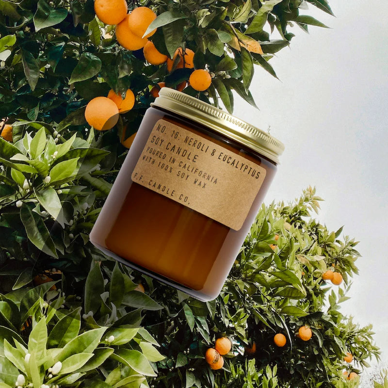 P.F. Candle Co. Duftlys, NO. 16 Neroli & Eucalyptus, Standard (limited edition)