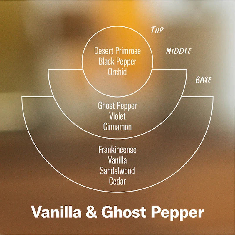 P.F. Candle Co. Duftlys, Vanilla & Ghost Pepper, Standard (limited edition 24)