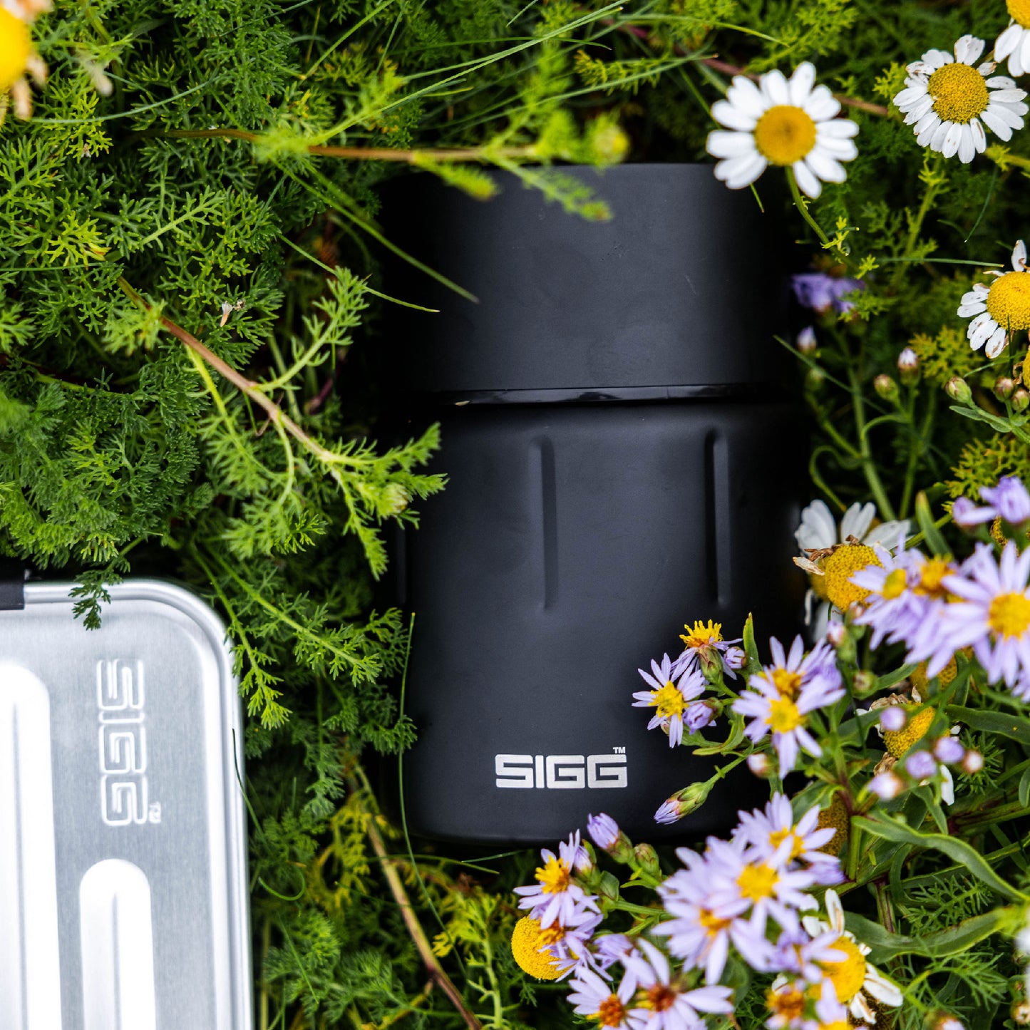 SIGG Lunchbox Plus S, Alu