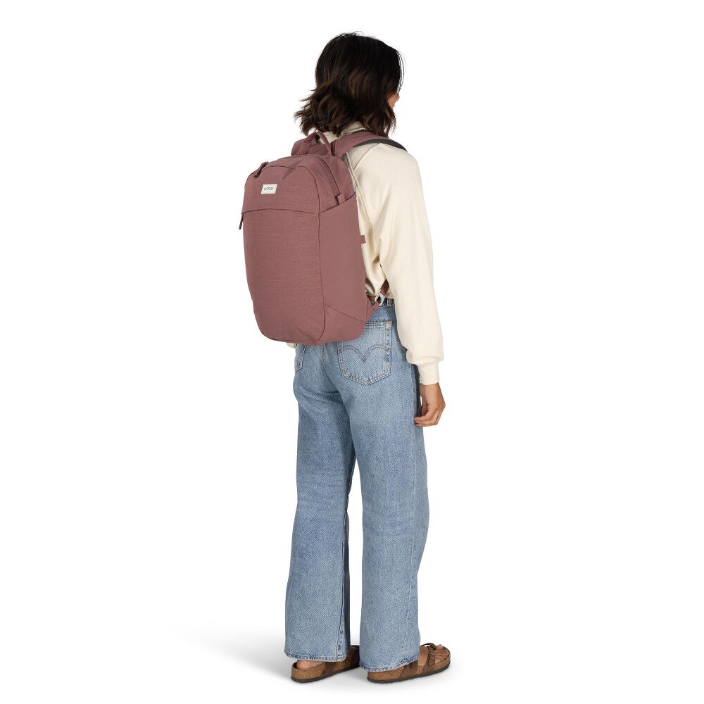 Osprey Arcane™ Large Day, Purple Garnet Heather