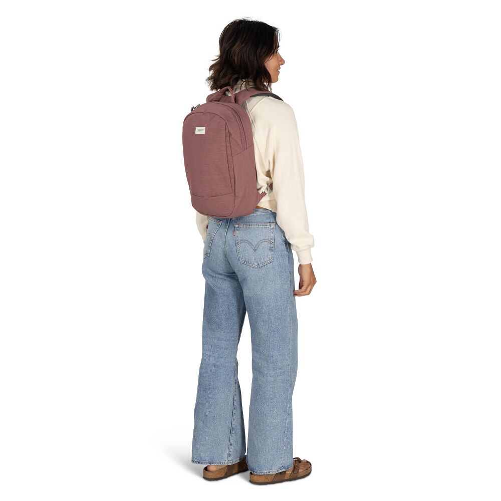Osprey Arcane™ Small Day, Purple Garnet Heather
