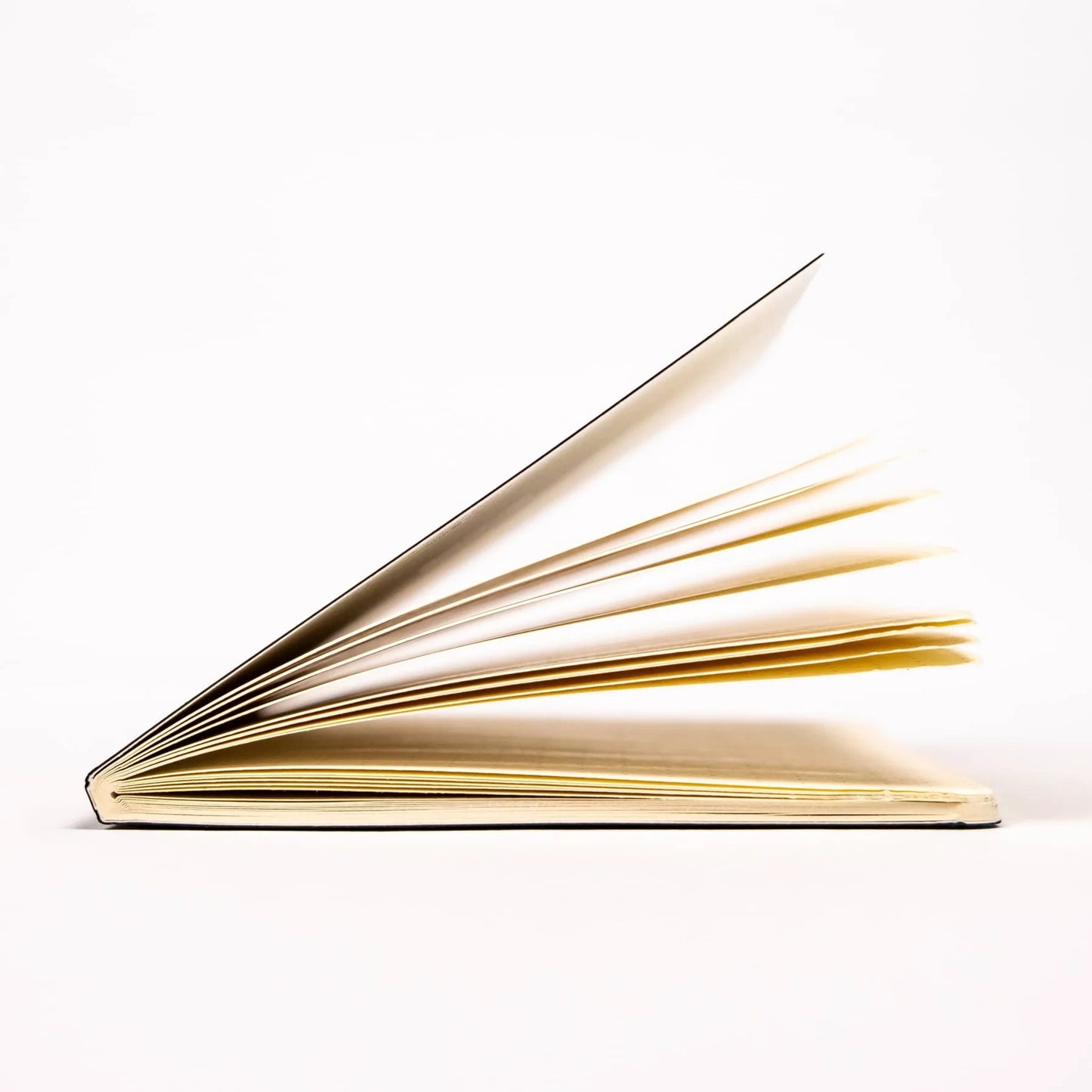 Big i Design Everyday Notebook