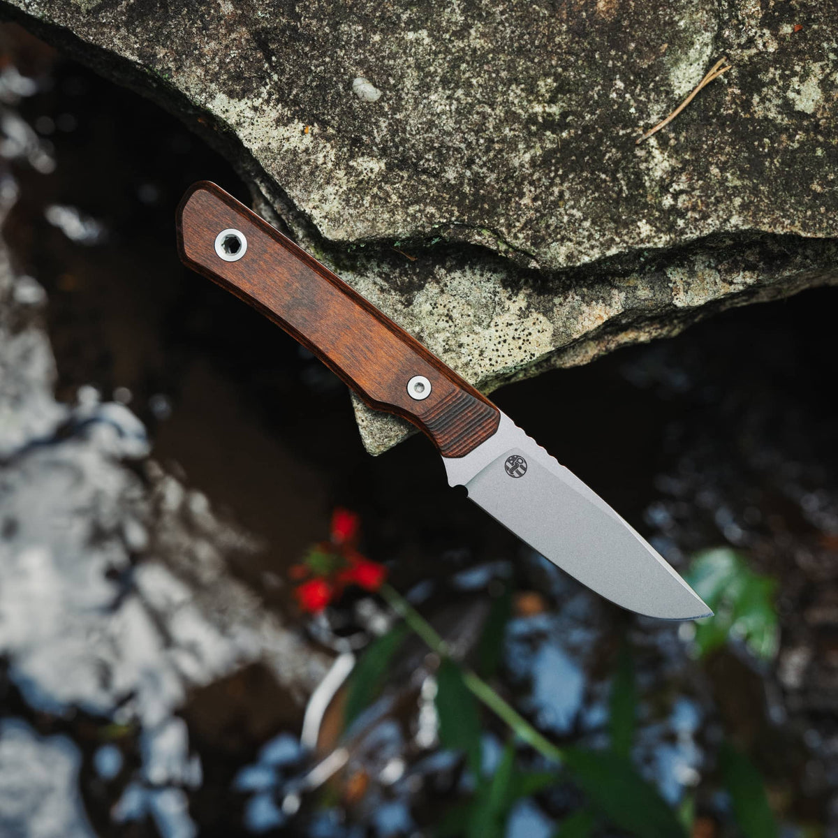Big i Design USA Cloudland Fixed Blade, Dymalux Walnut
