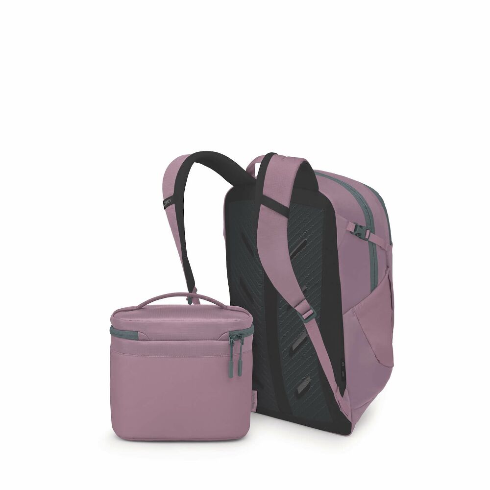 Osprey Axis x Hydro Flask Campus Essentials Bundle Limited Edition, Iris Pink