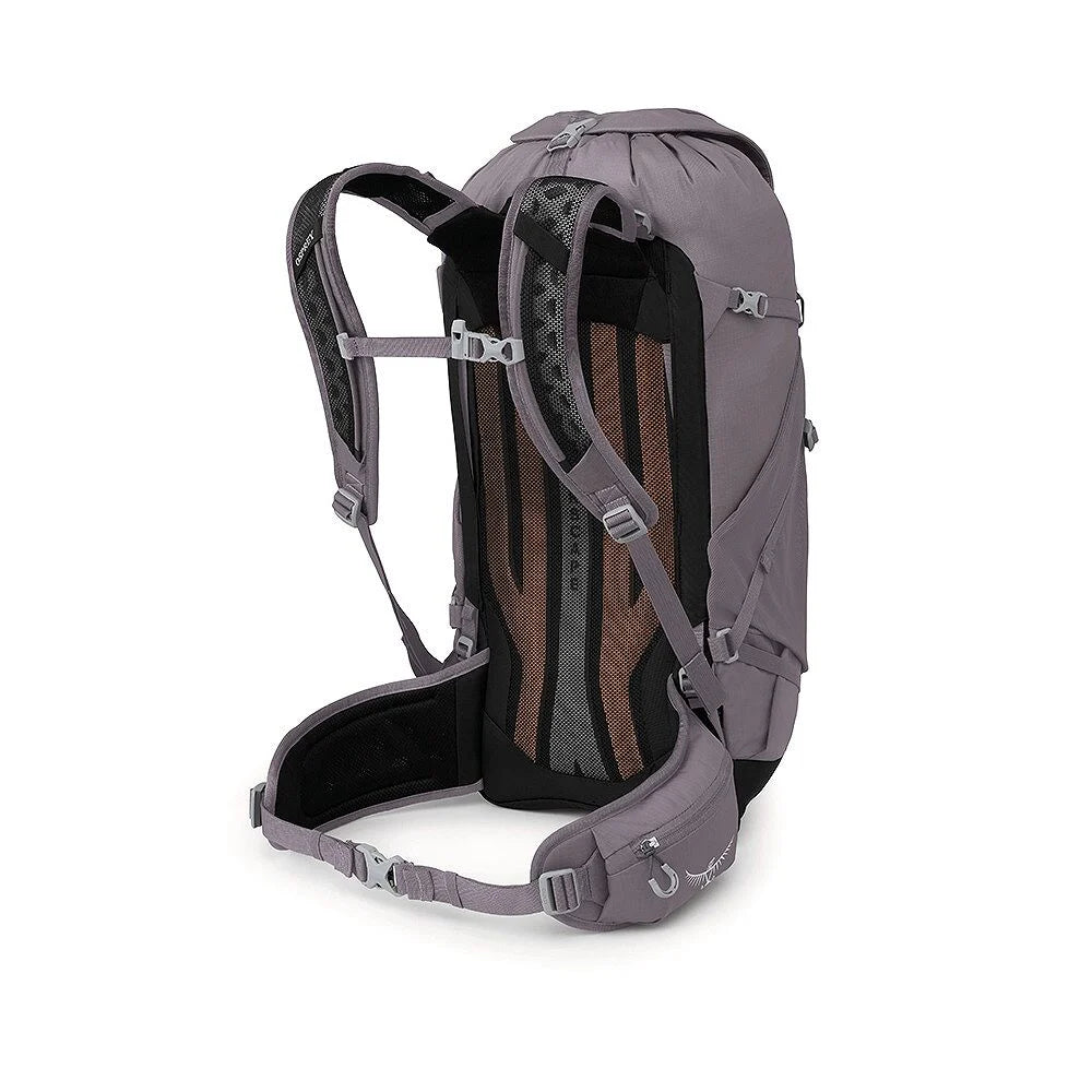 Osprey Sportlite™ 30 Hiking Backpack, Graphite Purple