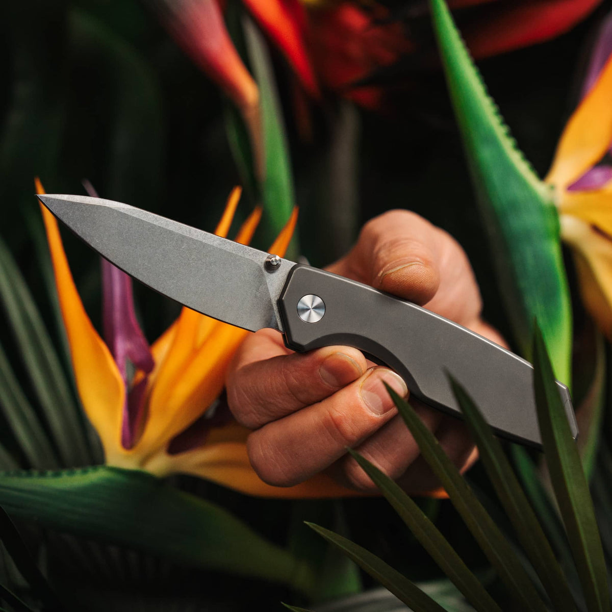 Big i Design Ti Manu Pocket Knife