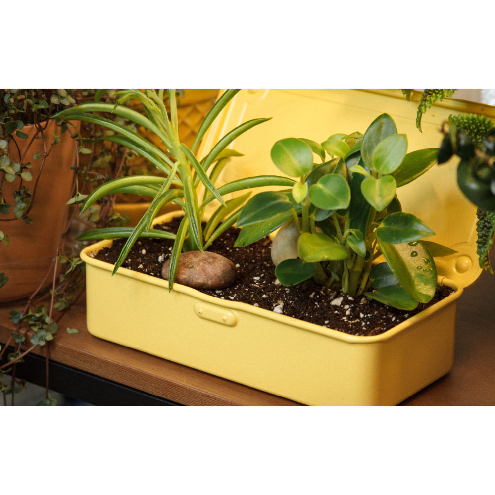 TOYO STEEL T-190 Italian Yellow, brukt til oppbevaring av planter